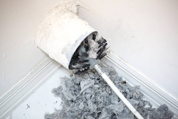 Best Air Vent Cleaning Services  in Haubstadt, IN